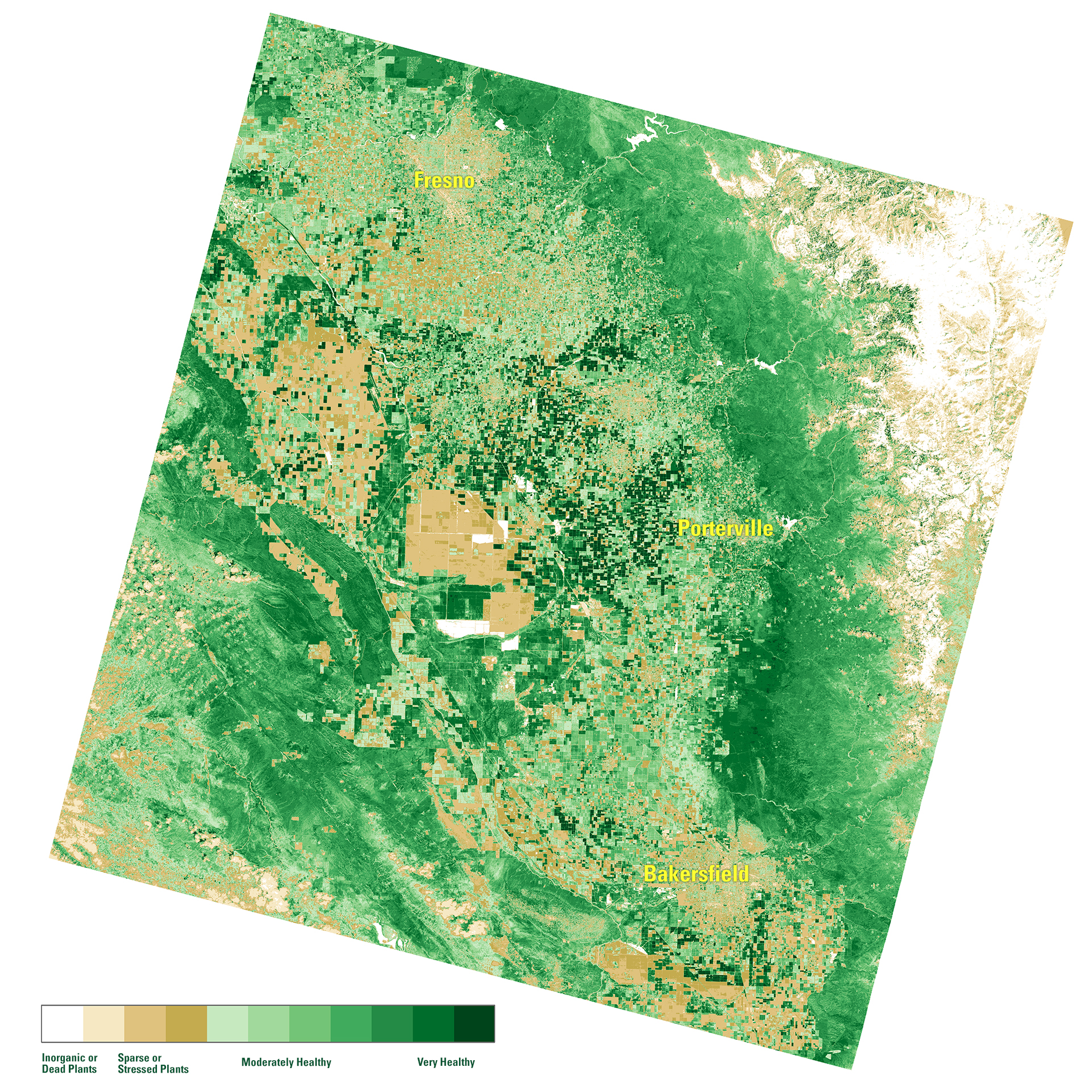 SF vegetation